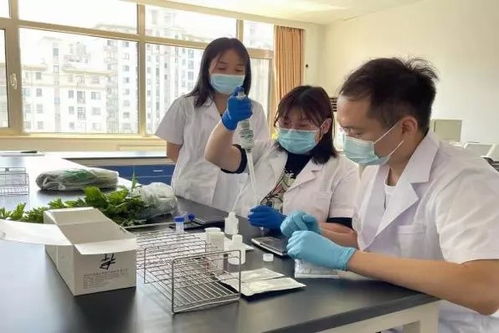 推廣應(yīng)用快速檢測(cè)技術(shù)，筑牢農(nóng)產(chǎn)品質(zhì)量安全“最初一公里”防線